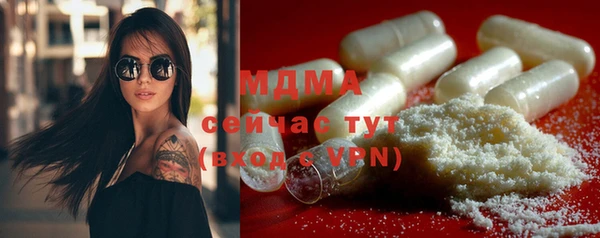 индика Елизово