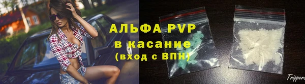 индика Елизово