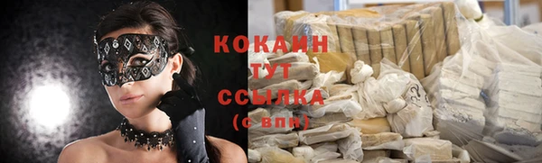 индика Елизово