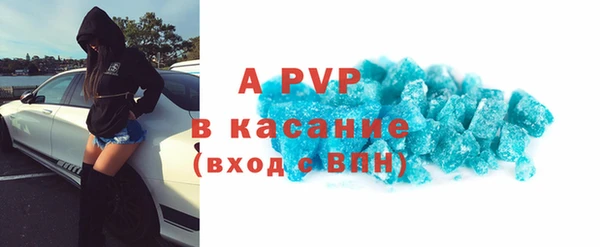 индика Елизово