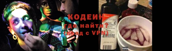 индика Елизово