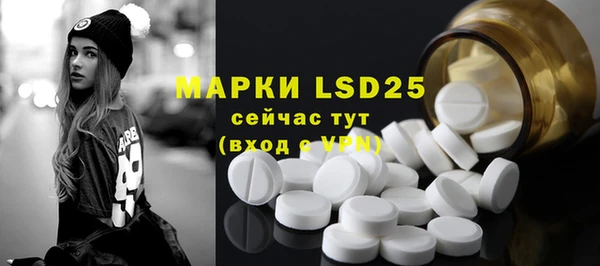 индика Елизово