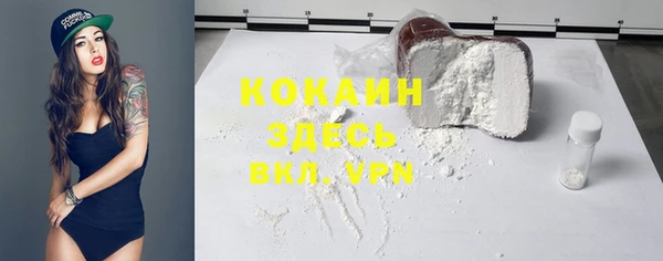 индика Елизово