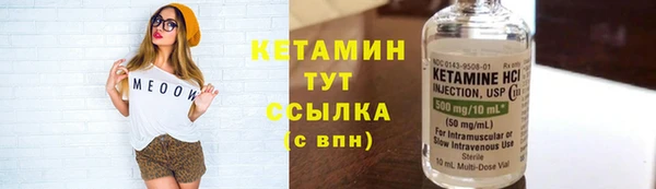 индика Елизово
