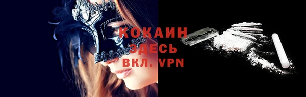 ешки Ельня