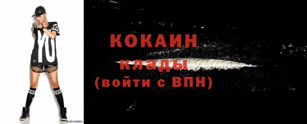 ешки Ельня