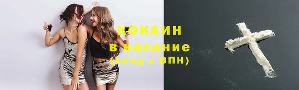 ешки Ельня