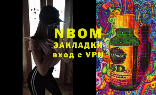 индика Елизово