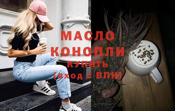 индика Елизово