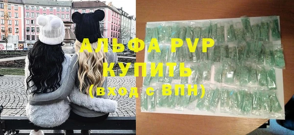 индика Елизово