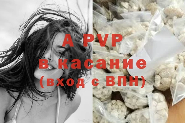 ешки Ельня