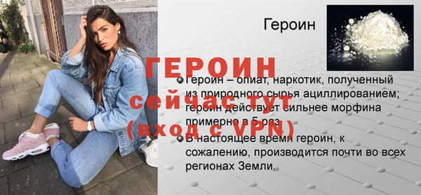 индика Елизово