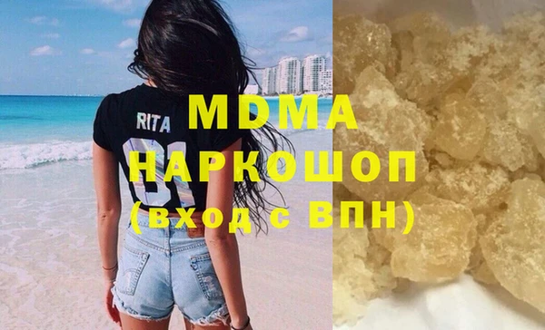 индика Елизово