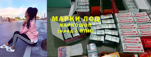 индика Елизово