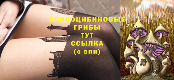 ешки Ельня