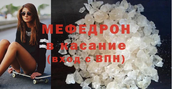 индика Елизово