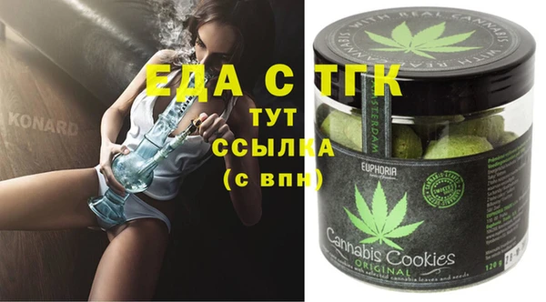 индика Елизово