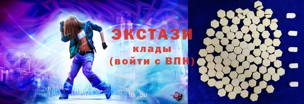 индика Елизово