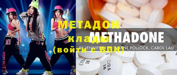 индика Елизово
