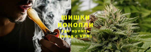 ешки Ельня
