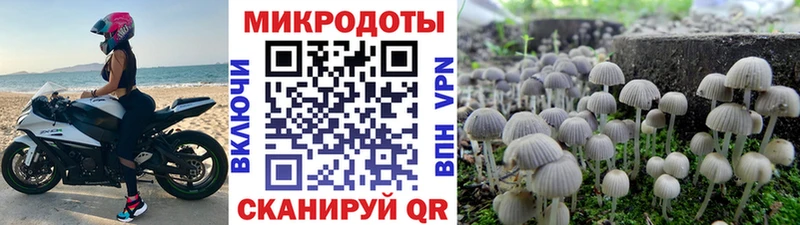 Псилоцибиновые грибы мицелий Оса